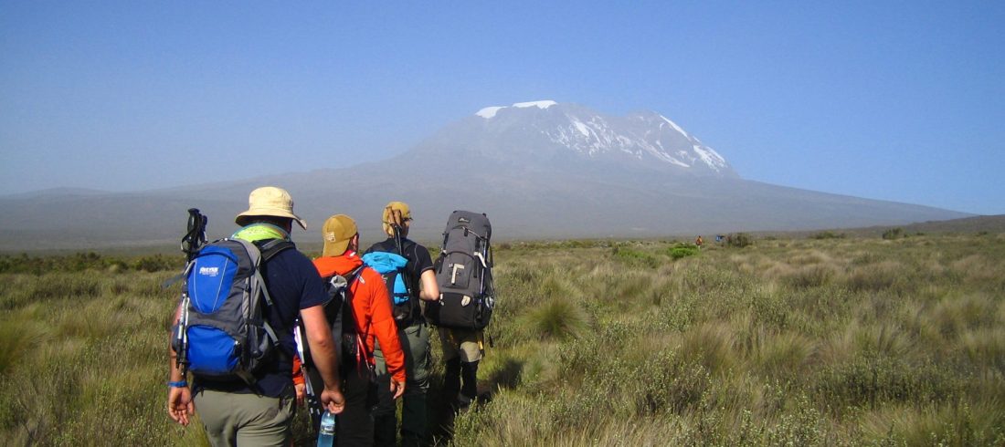 Complete Guide to Climbing Kilimanjaro via the Lemosho Route