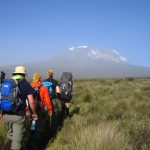 Complete Guide to Climbing Kilimanjaro via the Lemosho Route
