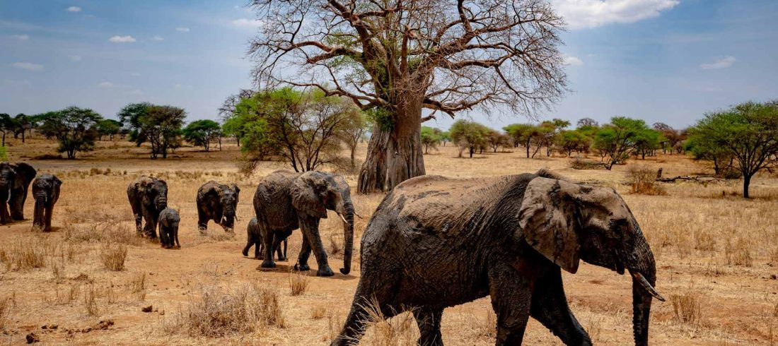 Tips for Budget Travel in Tanzania