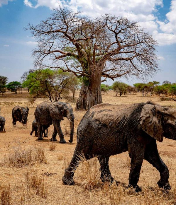 Tips for Budget Travel in Tanzania