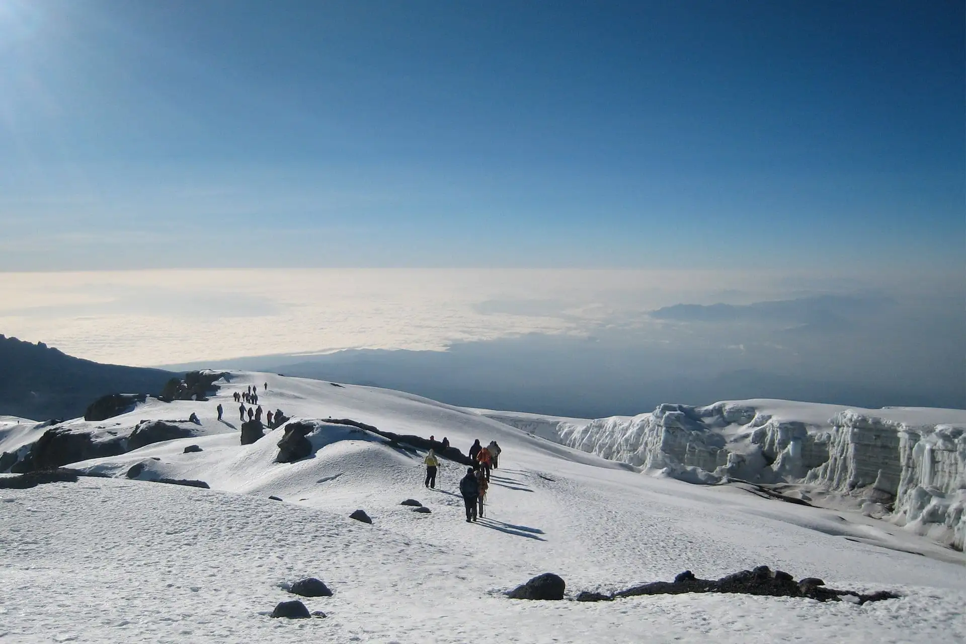 Kilimanjaro Summit Success Rates