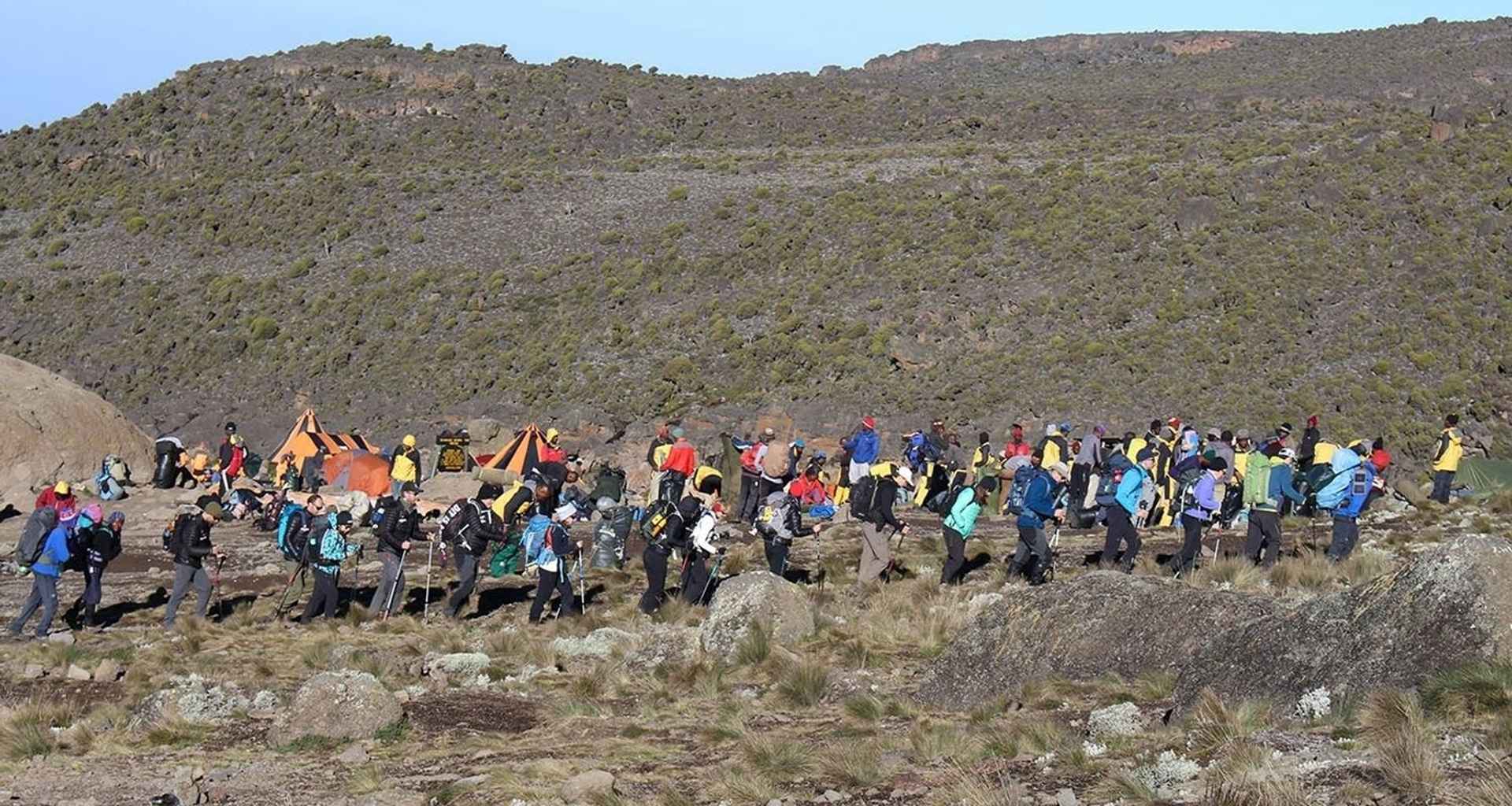 Kilimanjaro Group Joining