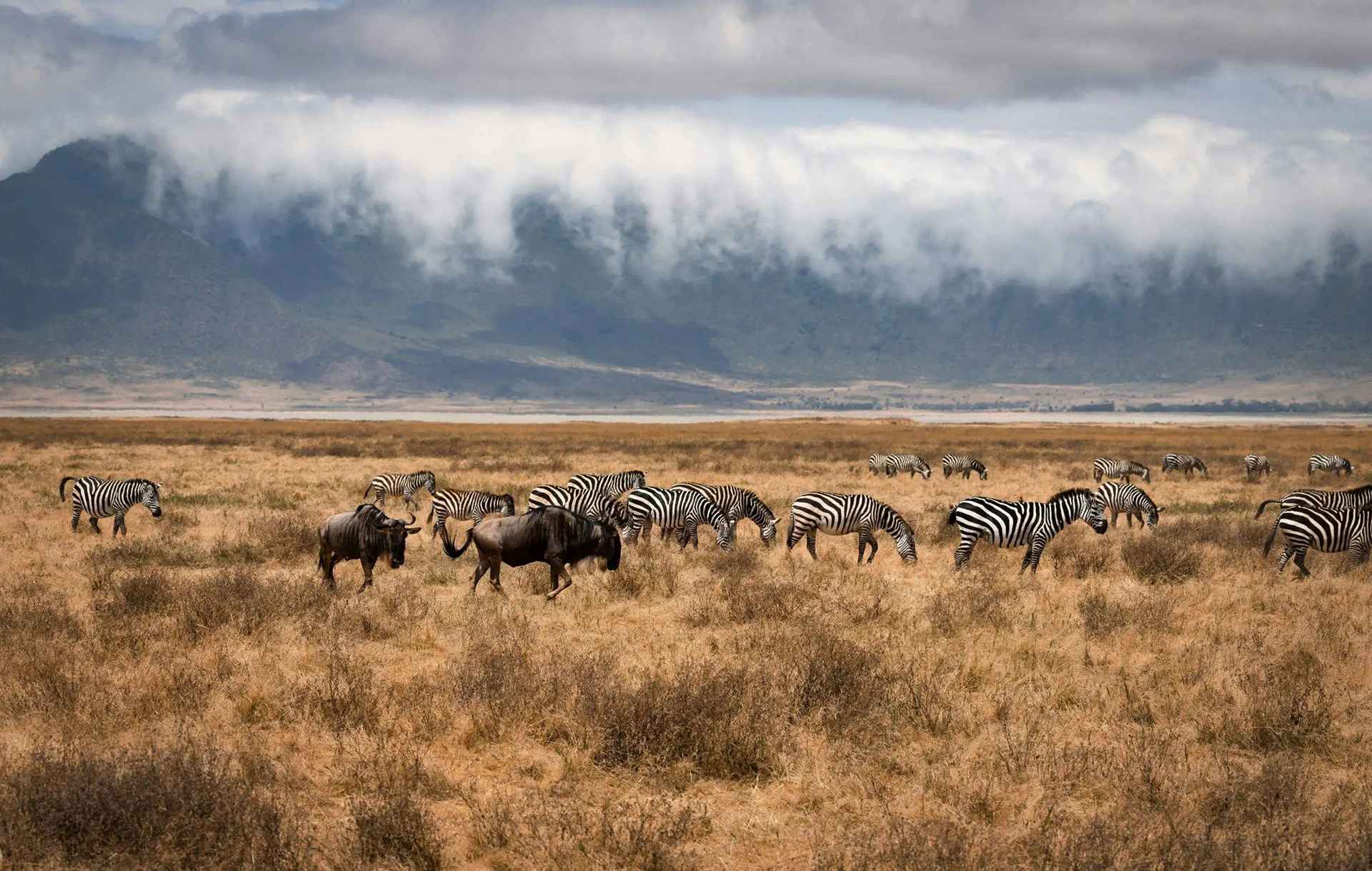 Recommended Tanzania Adventure Itineraries