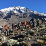 Kilimanjaro Group Joining