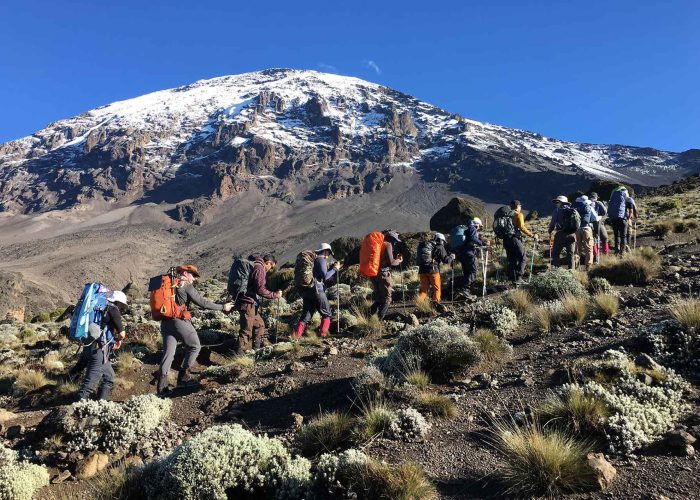 Kilimanjaro Group Joining