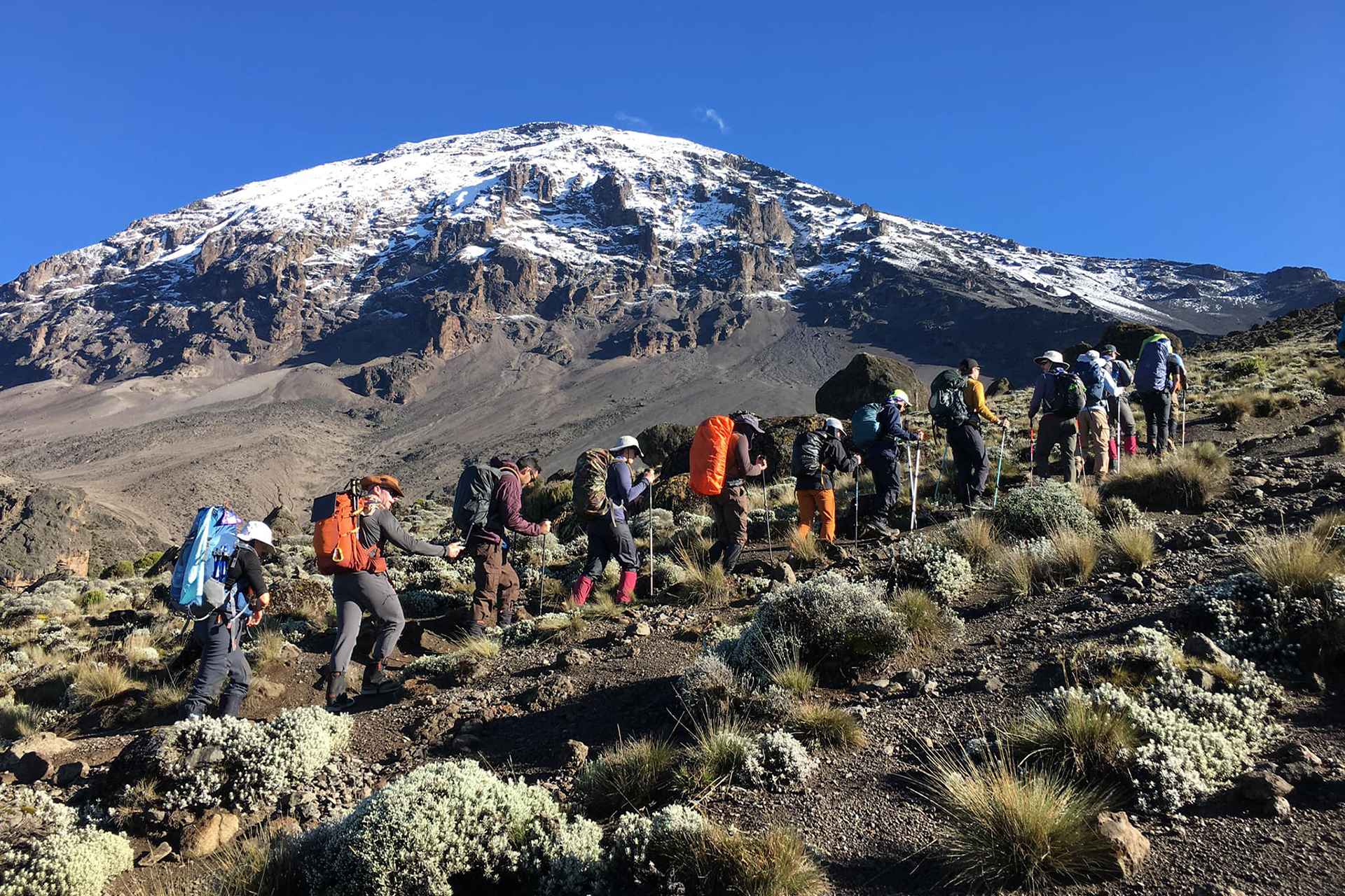 Kilimanjaro Group Joining