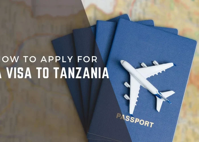 How to Get Tanzania Travel Visa Online