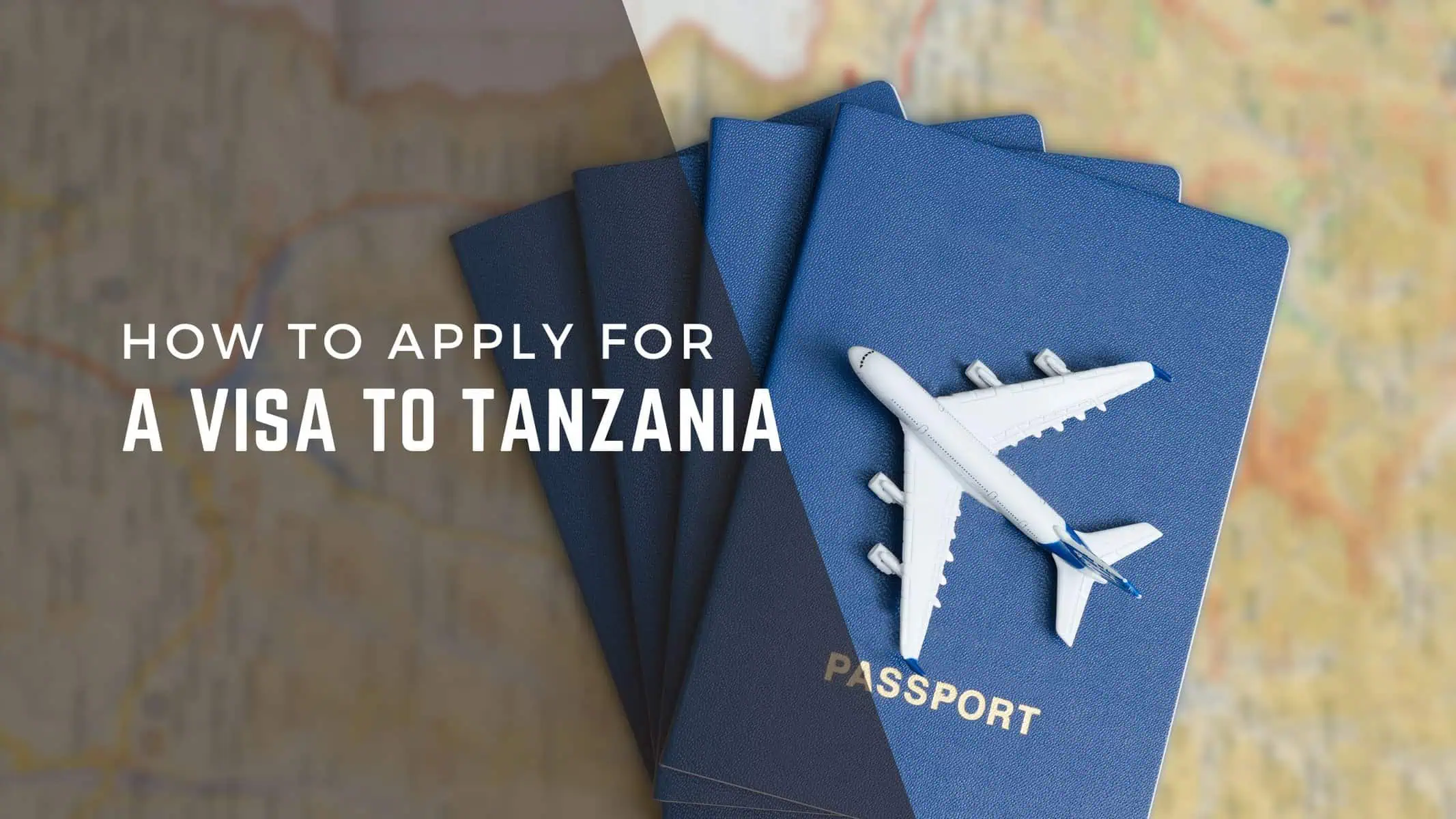 How to Get Tanzania Travel Visa Online