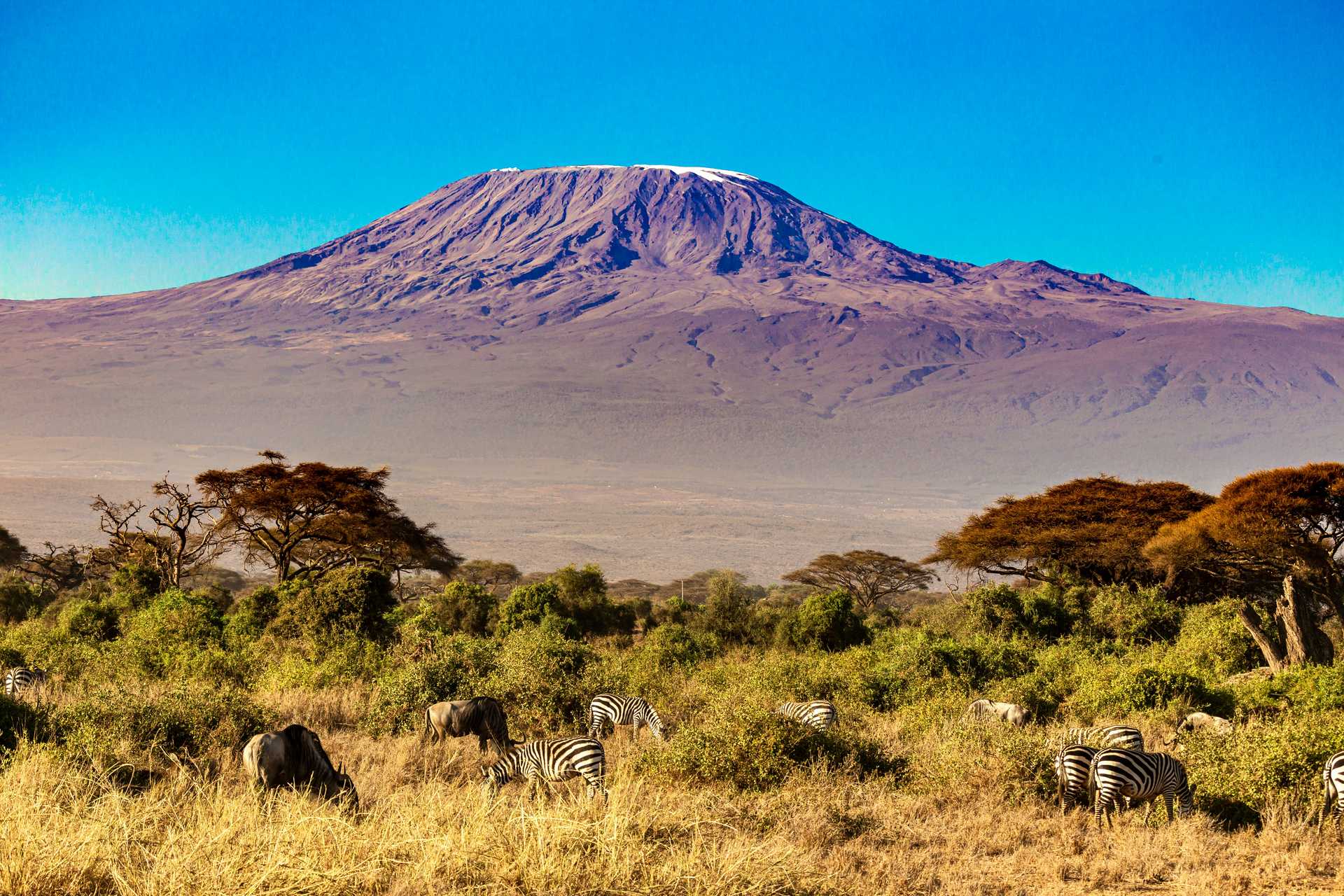 Where is Mount Kilimanjaro